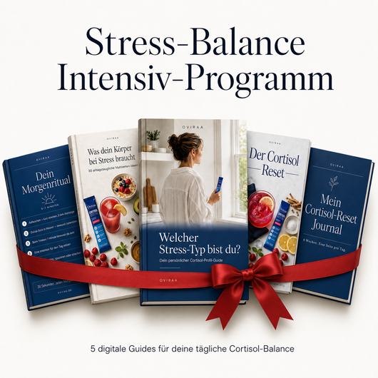 Stress-Balance Intensiv-Programm